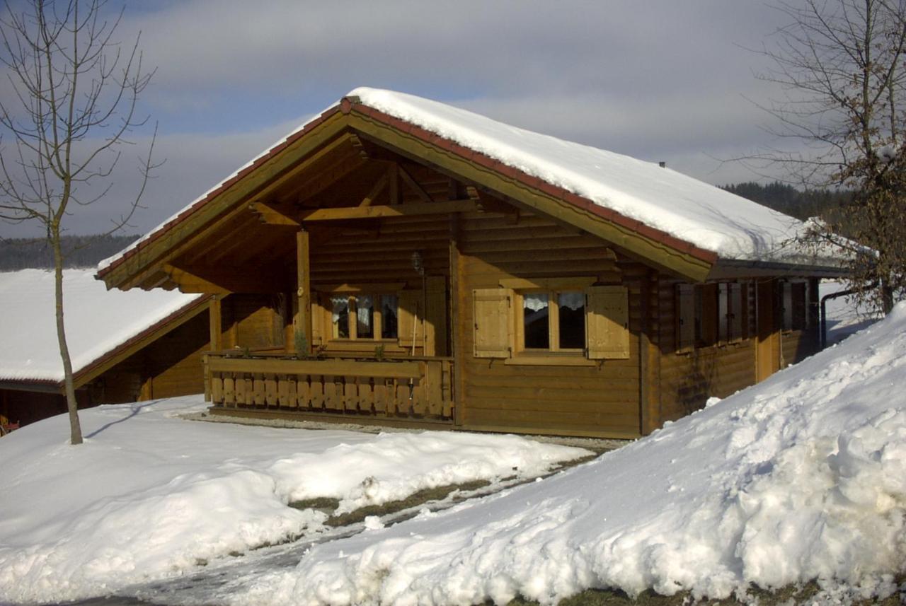 Ferienhaus Bayern Stamsried Exterior photo